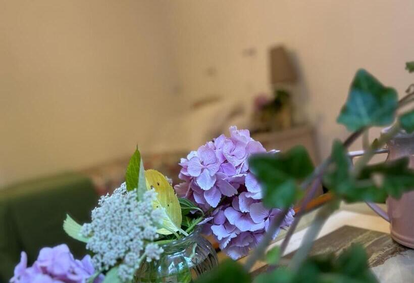 住宿加早餐  Le Chambon, Chambres D Hôtes