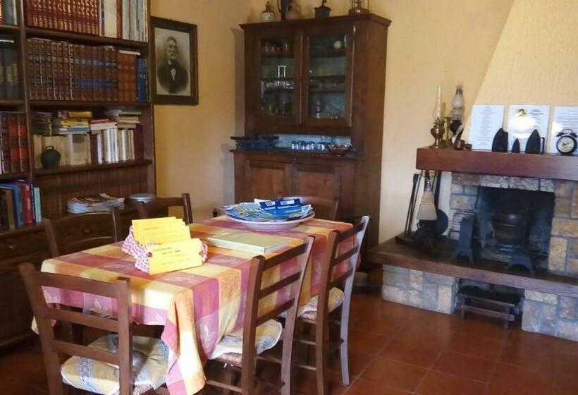 Phoenix B&b