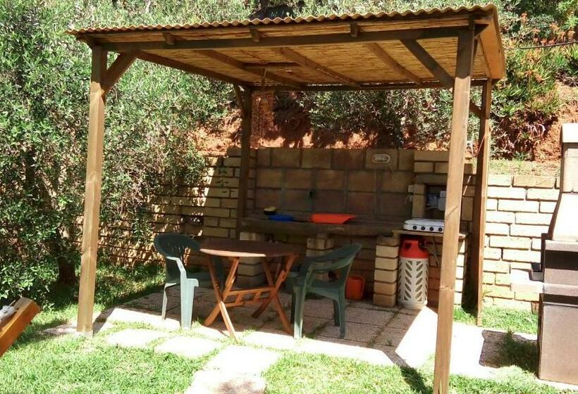 Phoenix B&b