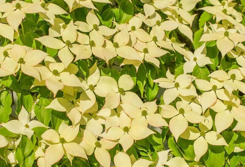 مبيت وإفطار The Waldoboro Inn Room 3