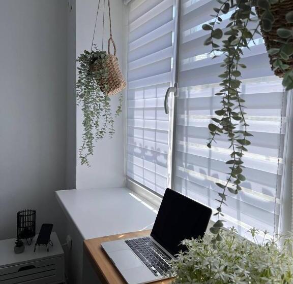 Hostel хостел житомир Green House