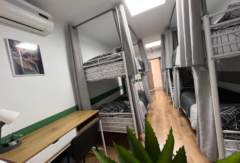 Albergue хостел житомир Green House