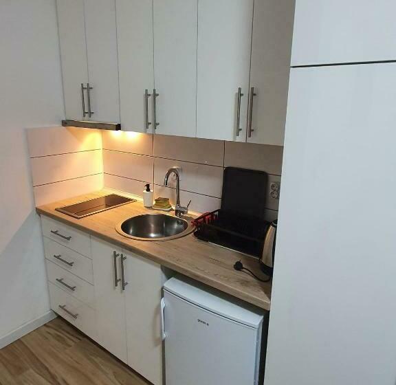 پانسیون Studio Vik