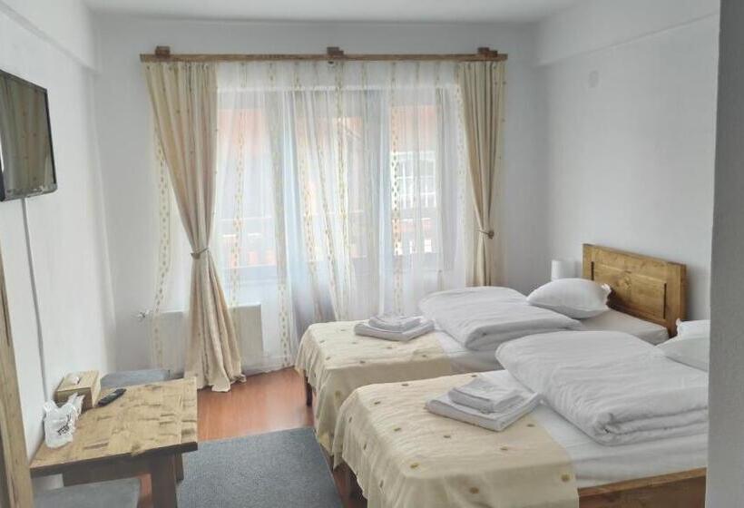 Pensiunea Trei Brazi Arieseni