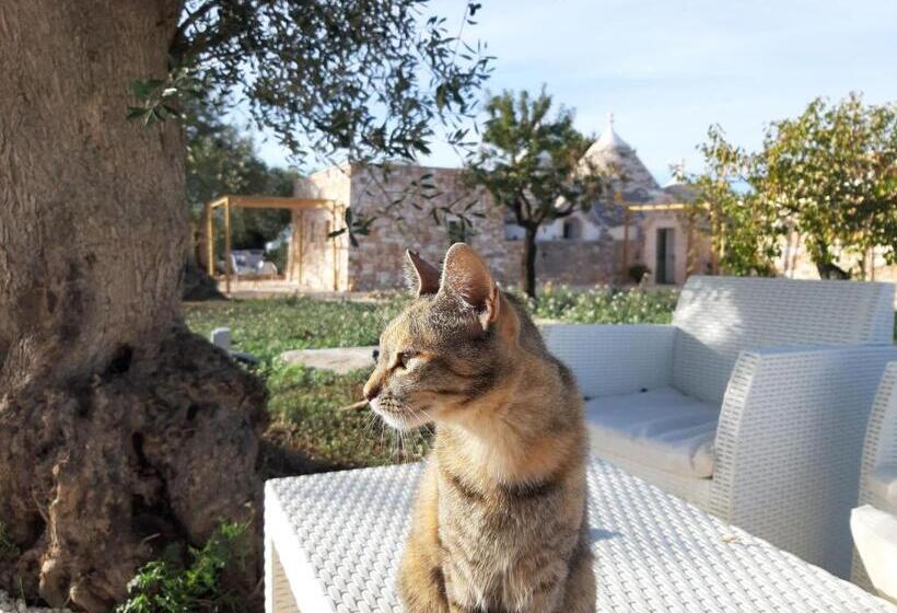 پانسیون Il Fiore Della Vita Trulli Country House