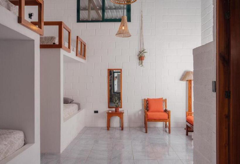 پانسیون Hostal Pimampiro