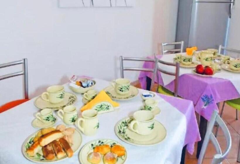 B&b Dal Contadino