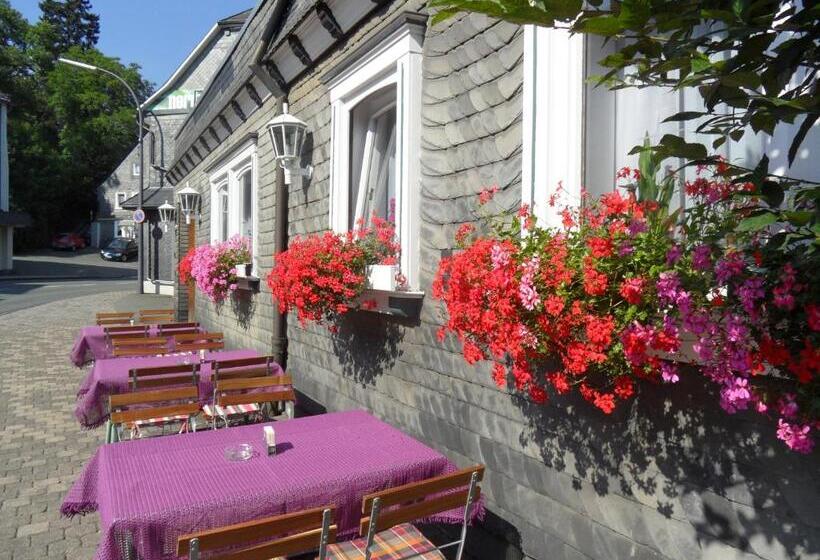 호텔 Berleburger Hof