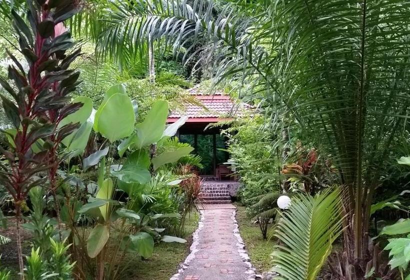 فندق Khaosok And Spa