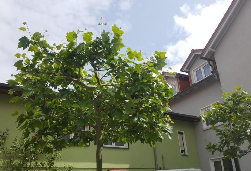 בית מלון כפרי Pension Zechliner Hof