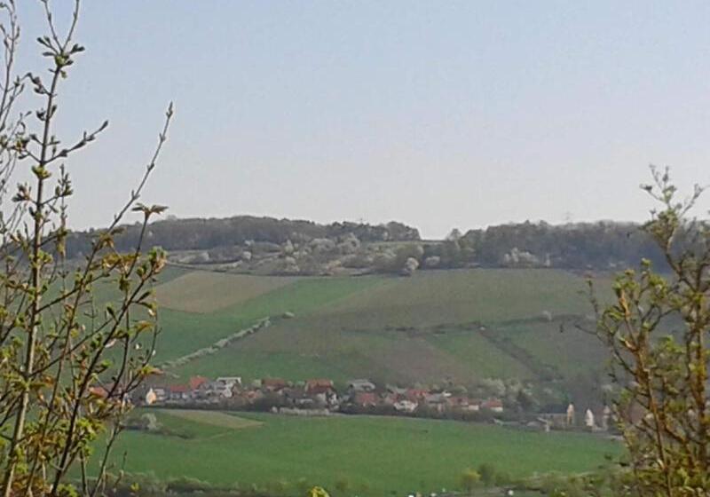 호텔 Rebgut   Die Weinherberge