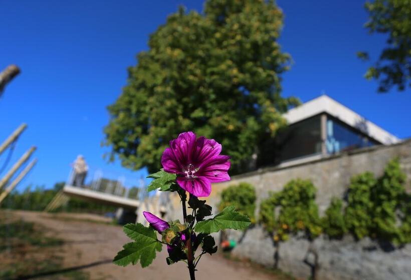 Отель Vogelsburg