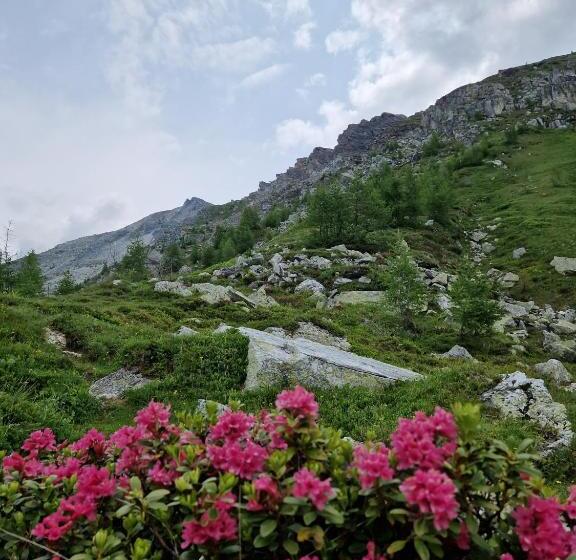 הוסטל Almgasthaus Glocknerblick