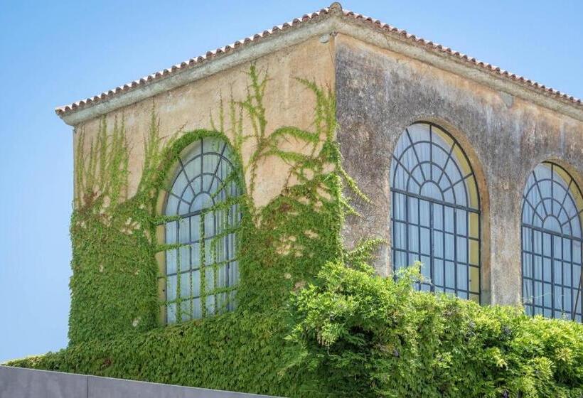 پانسیون Suite Nettuno Paestum