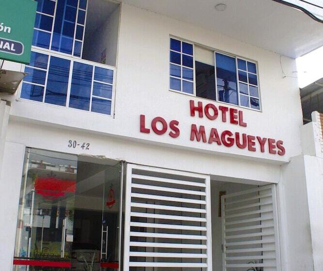 هتل Los Magueyes