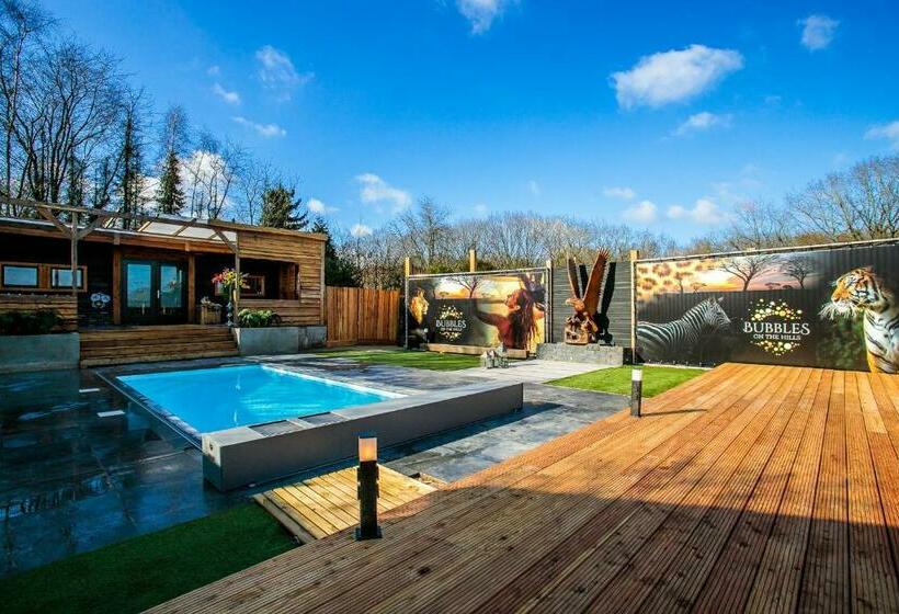 تختخواب و صبحانه Bubbles On The Hills