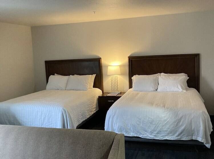 ホテル Elker Inn & Suites