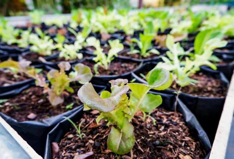 אתר נופש Phonphusang Utopia Farmstay