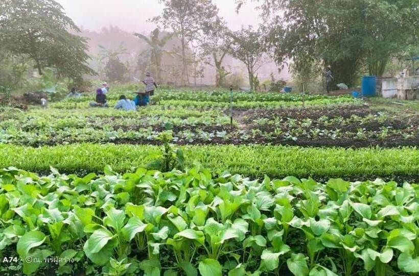 אתר נופש Phonphusang Utopia Farmstay