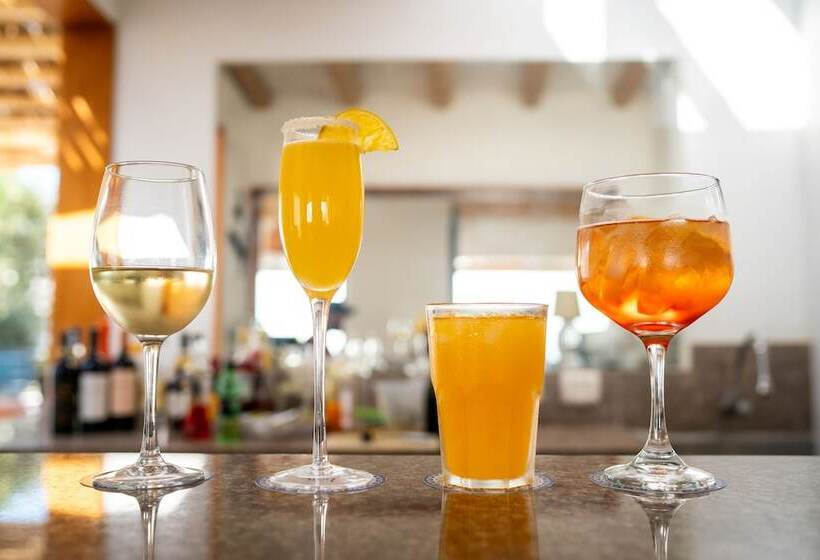 ホテル Atoq Paracas Reserva