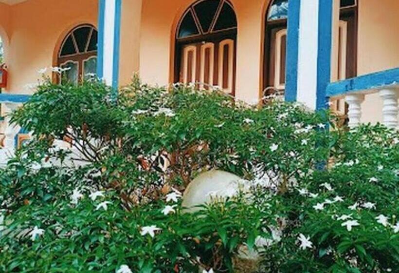 Pensjonat Casa Domingos Guest House