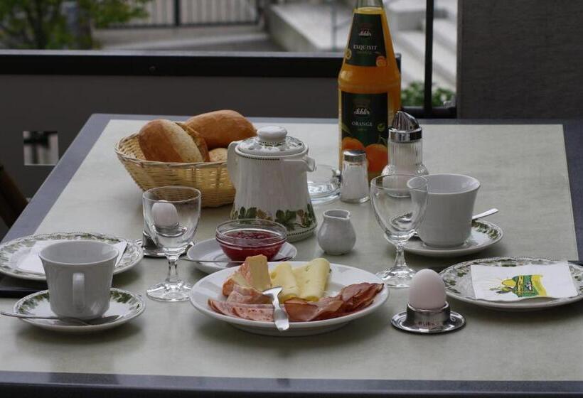 酒店 Gasthaus Storchen