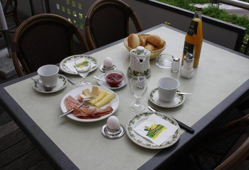 酒店 Gasthaus Storchen