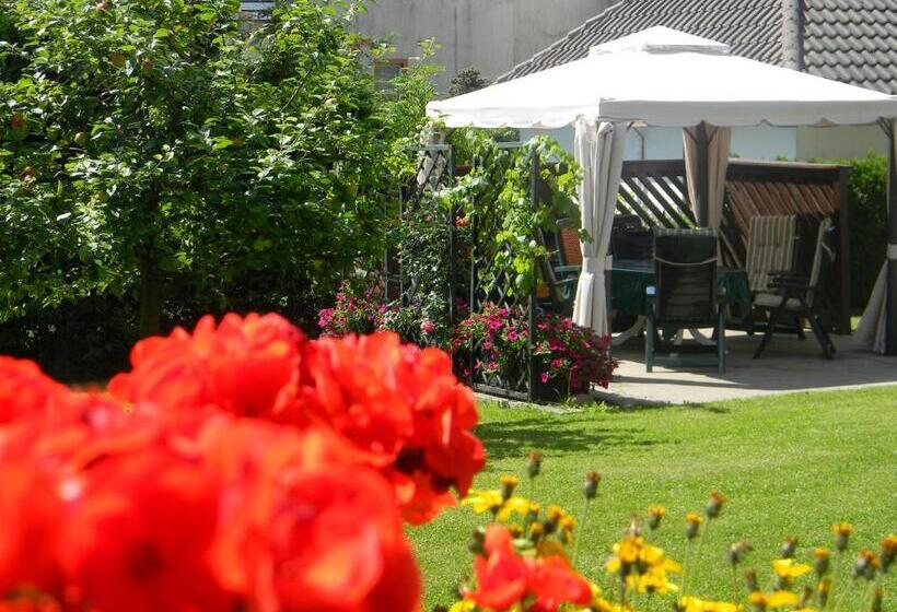 בית מלון כפרי Gästehaus Kehne