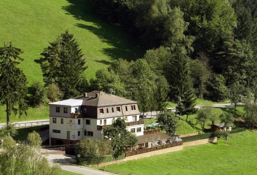 فندق Landgasthof Grüner Baum