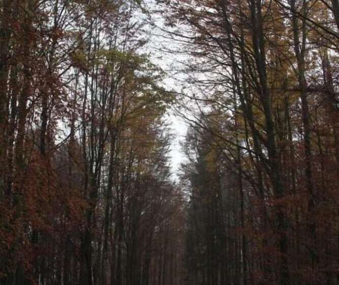 هتل Pension Walddorf