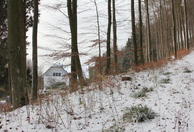 هتل Pension Walddorf