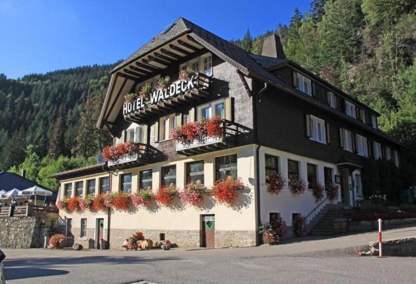 هتل Waldeck In Todtnau
