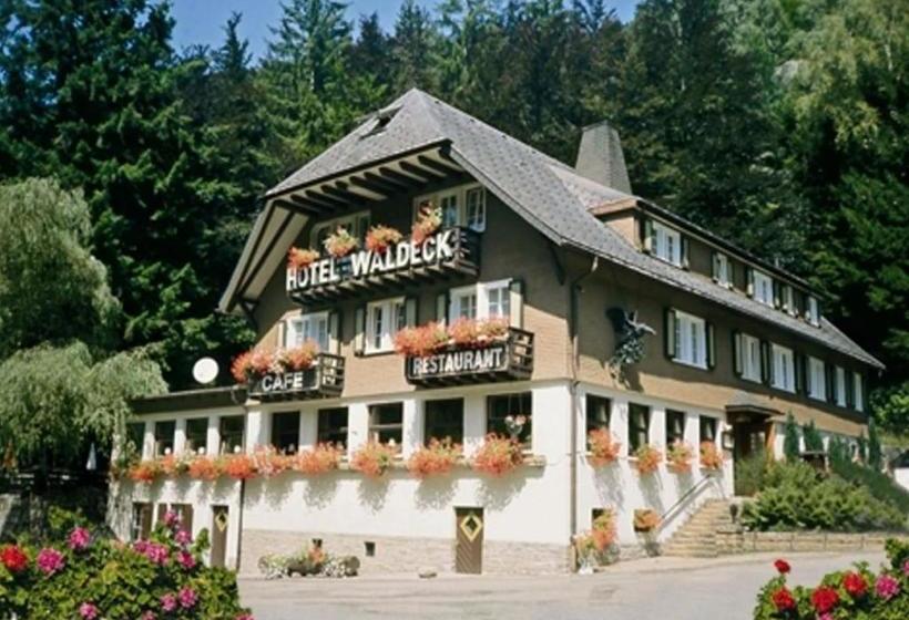 هتل Waldeck In Todtnau