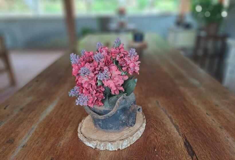 Общежитие Pousada Vila Das Flores