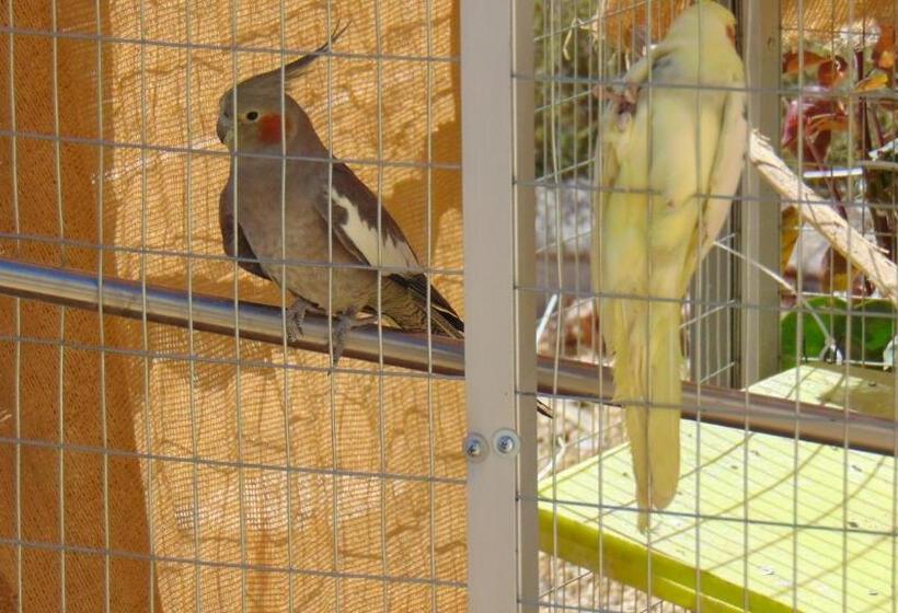 مبيت وإفطار Casa La Vida Feliz