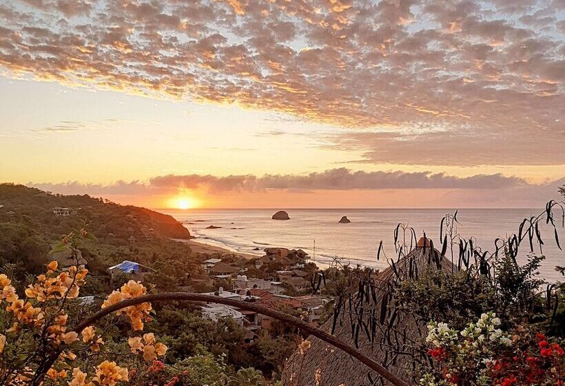 مبيت وإفطار Nani