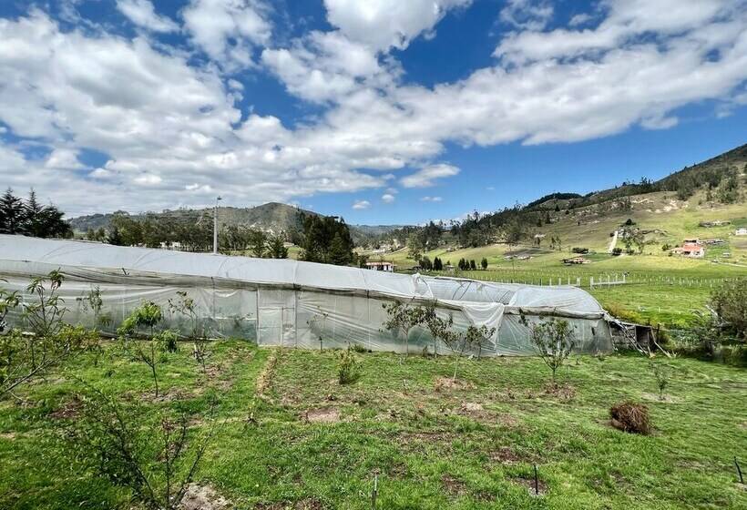 بنسيون Estancia Jardín De Teresita