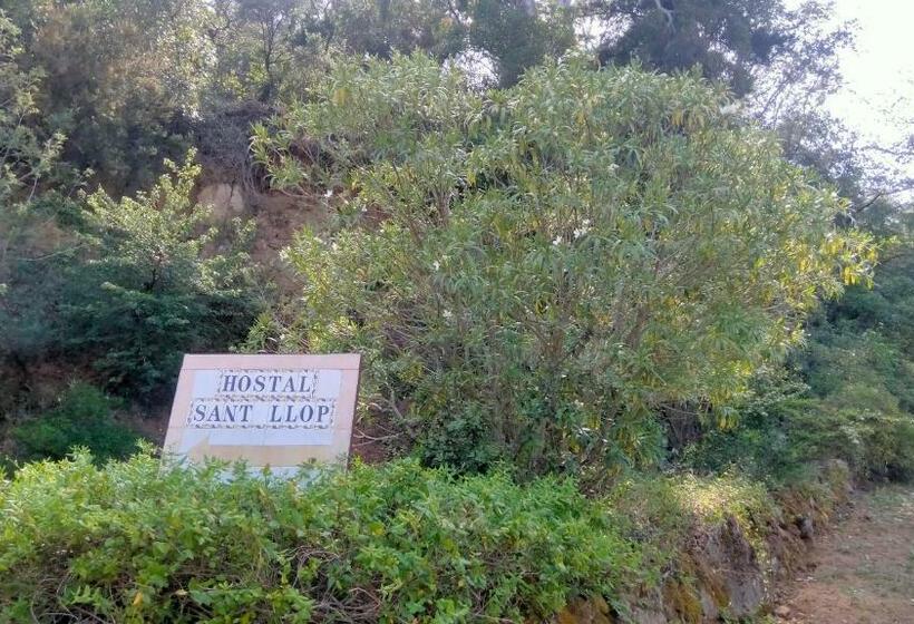 هاستل Rural Sant Llop