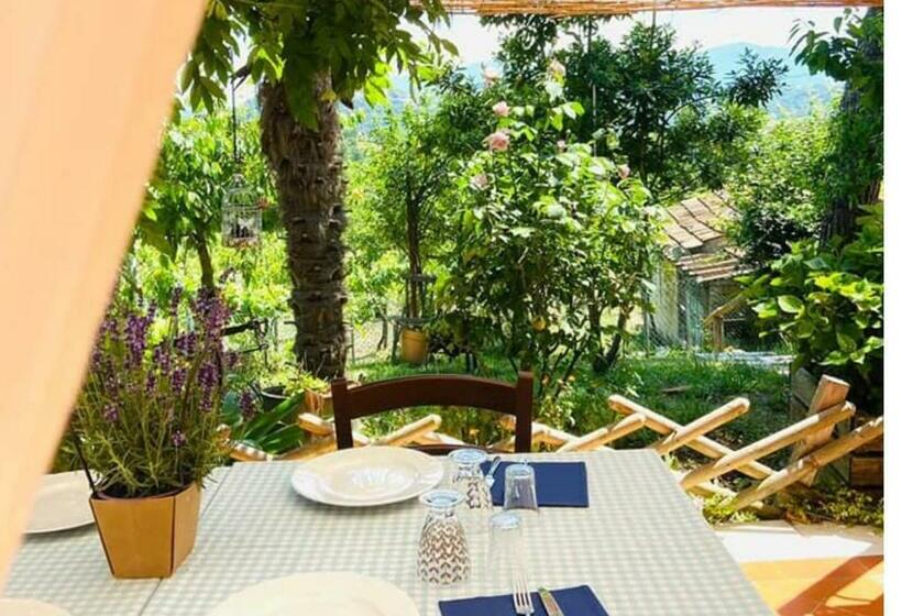 호텔 Agriturismo Radici Irpine
