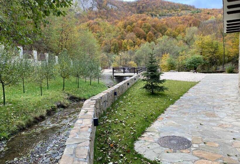 Pensiunea Buna Ziua