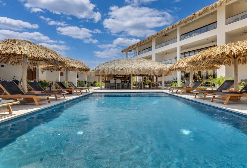 استراحتگاه Belnem House Bonaire