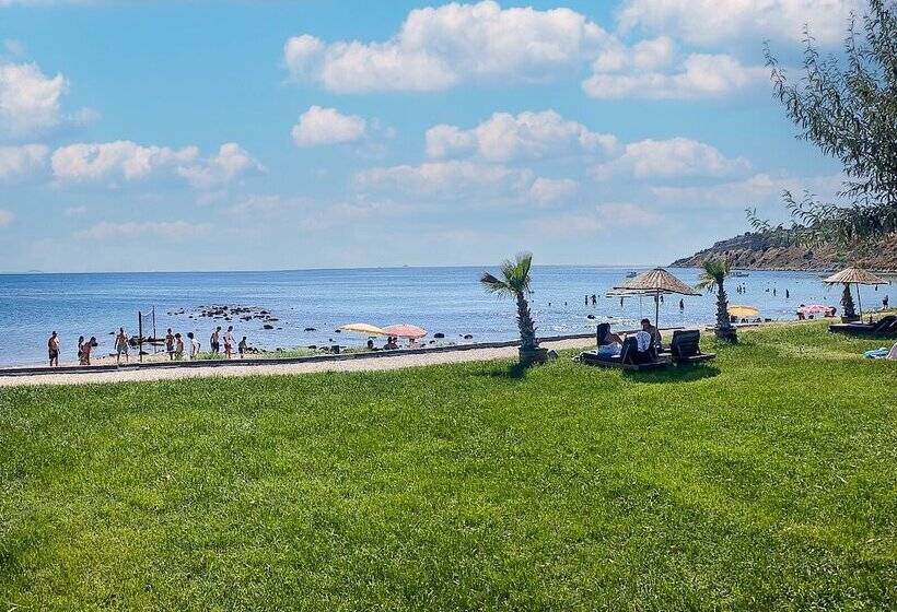 בית מלון כפרי V Beach