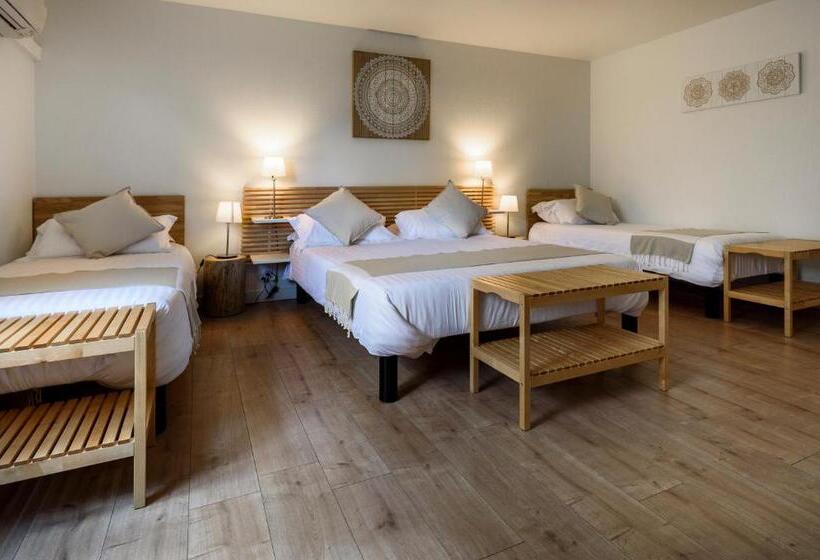 هتل Hôtel & Studios Astor