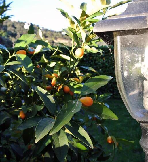 Отель Le Relais Des Chartreuses