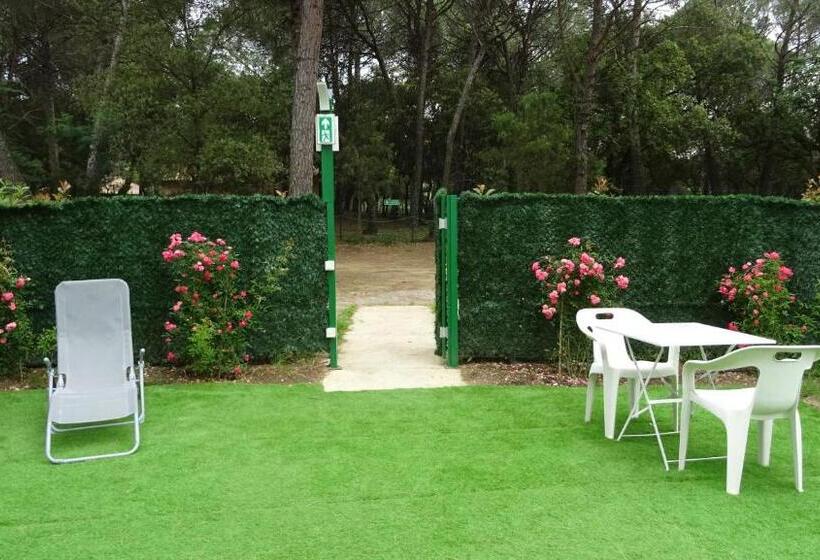 ホテル Les Chambres D Hotes Au Bois Fleuri
