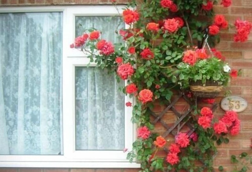 ホテル Rosa S Bed And Breakfast