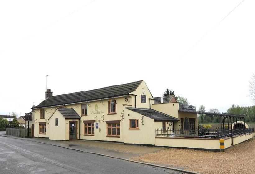 فندق The Elm Tree Inn