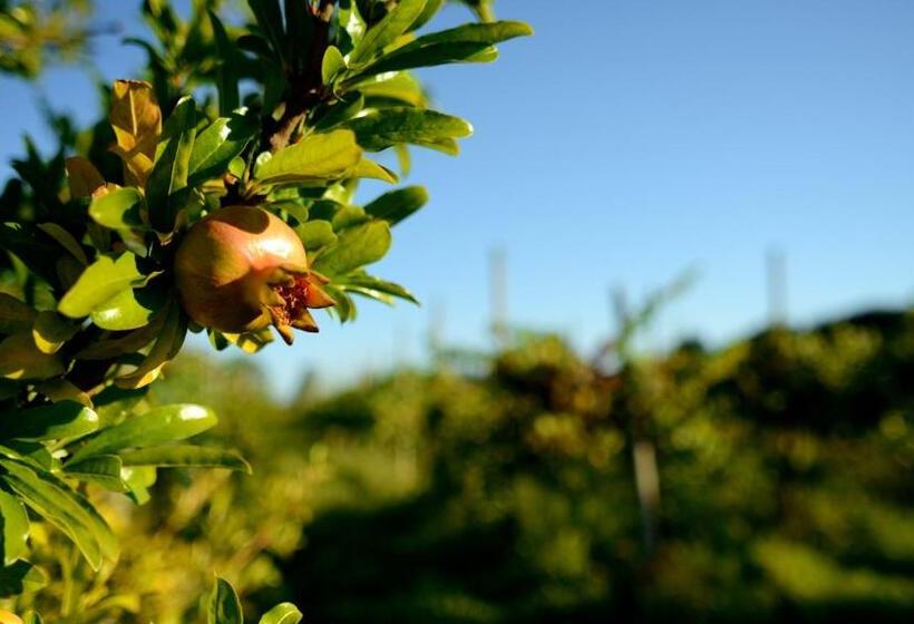 בית מלון כפרי Agriturismo Dartora