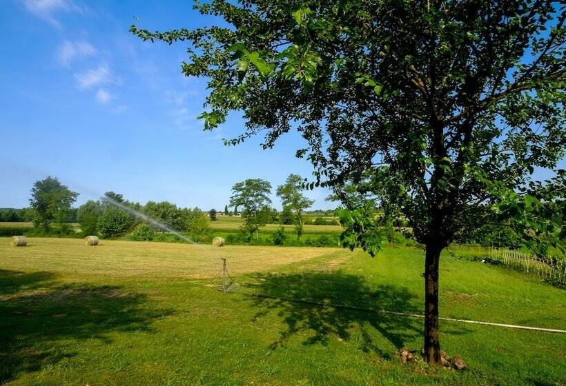 ホテル Agriturismo Moscatello