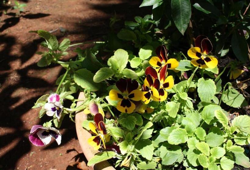 هتل Antica Villa La Viola